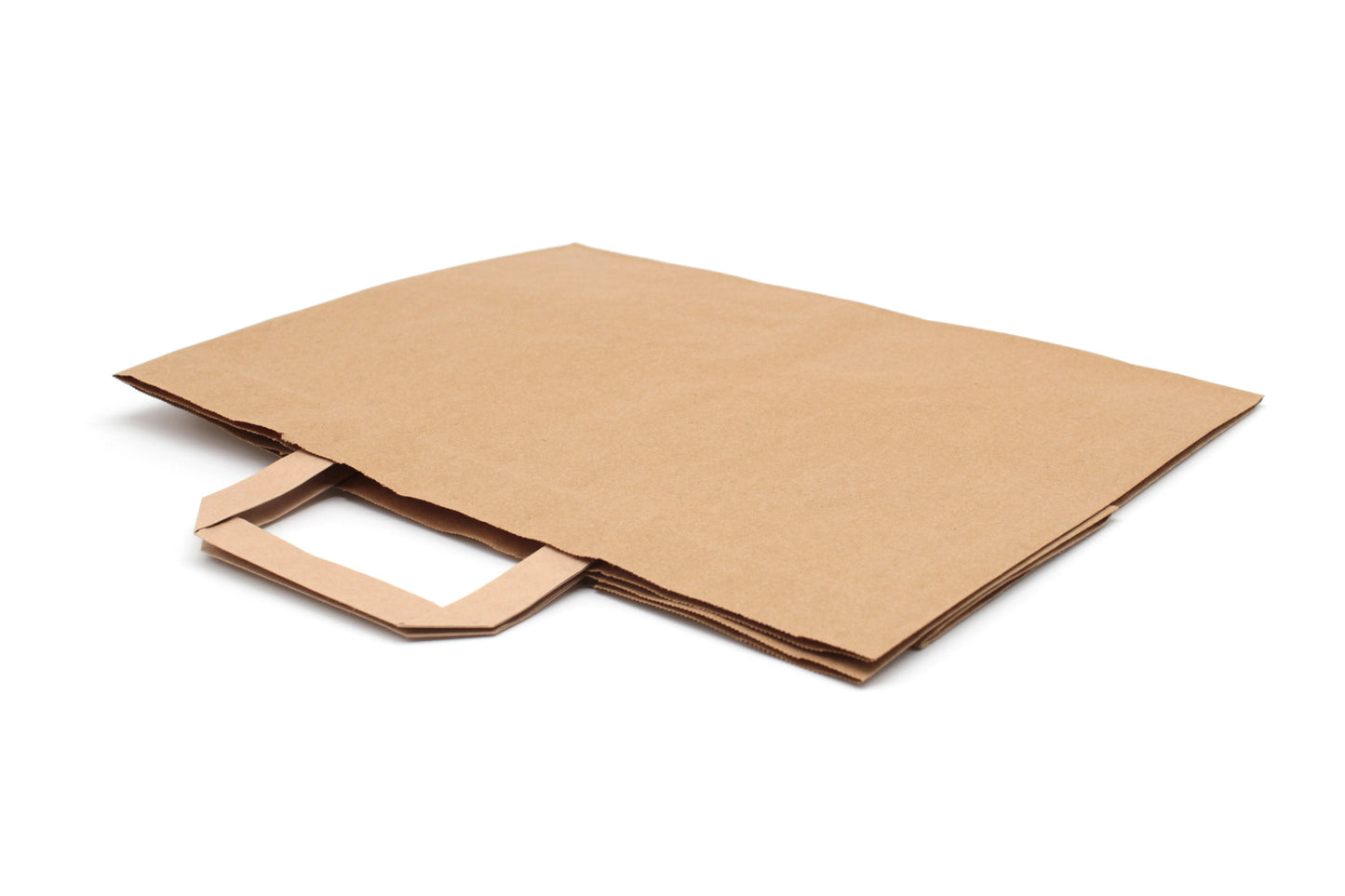 EXTRA LARGE RECYCLED PAPER CARRIER