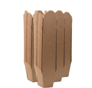 Kraft Takeaway Food Container