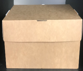 PLAIN LARGE TAKEAWAY BOX