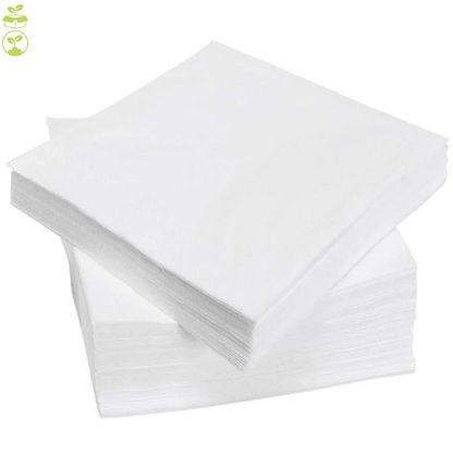 WHITE2 PLY COCKTAIL NAPKINS (4000)
